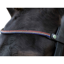 EcoRider Freedom Victoria Browband - Black