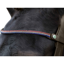 EcoRider Freedom Victoria Browband - Brown
