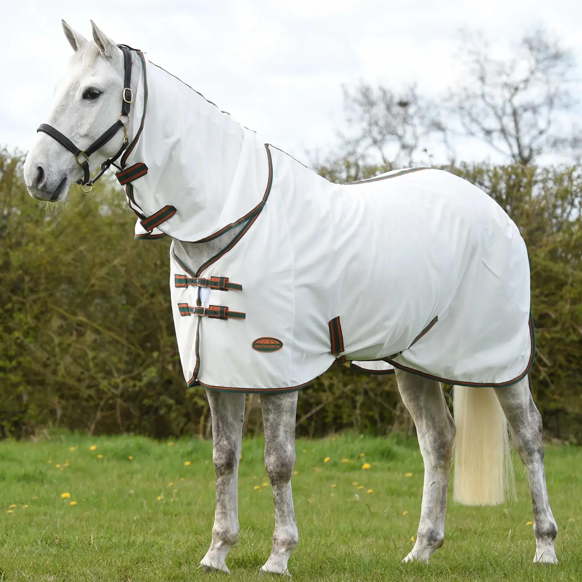 Fly Rug Weatherbeeta WeatherBeeta ComFiTec Tyro Mesh Combo Neck Fly Rug - White/Green