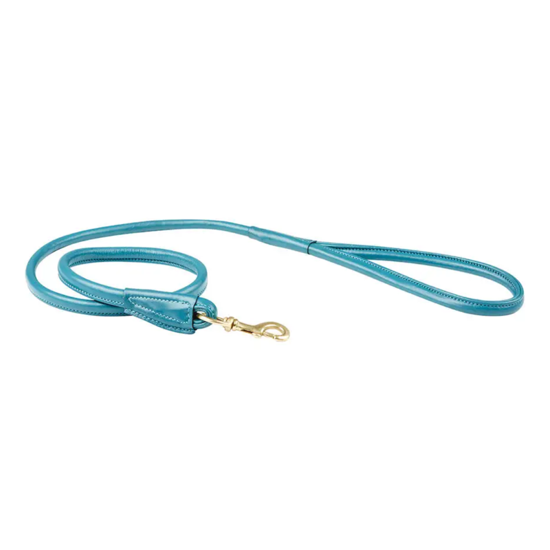 WeatherBeeta Rolled Leather Dog Lead - Teal