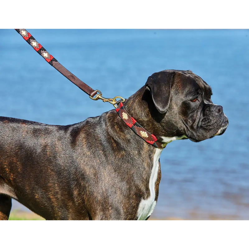 WeatherBeeta Polo Leather Dog Lead - Cowdray Brown/Black/Red/White-1