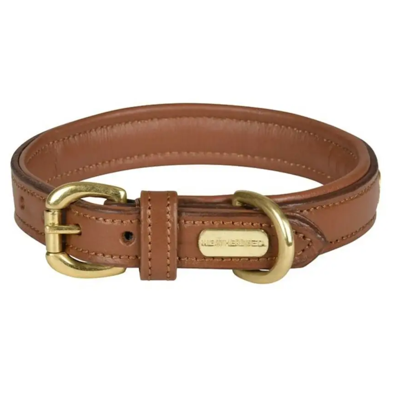 WeatherBeeta Padded Leather Dog Collar - Tan