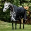 Horseware Amigo Bravo 12 Wug 250g Turnout Rug - Black/Titanium Grey Silver