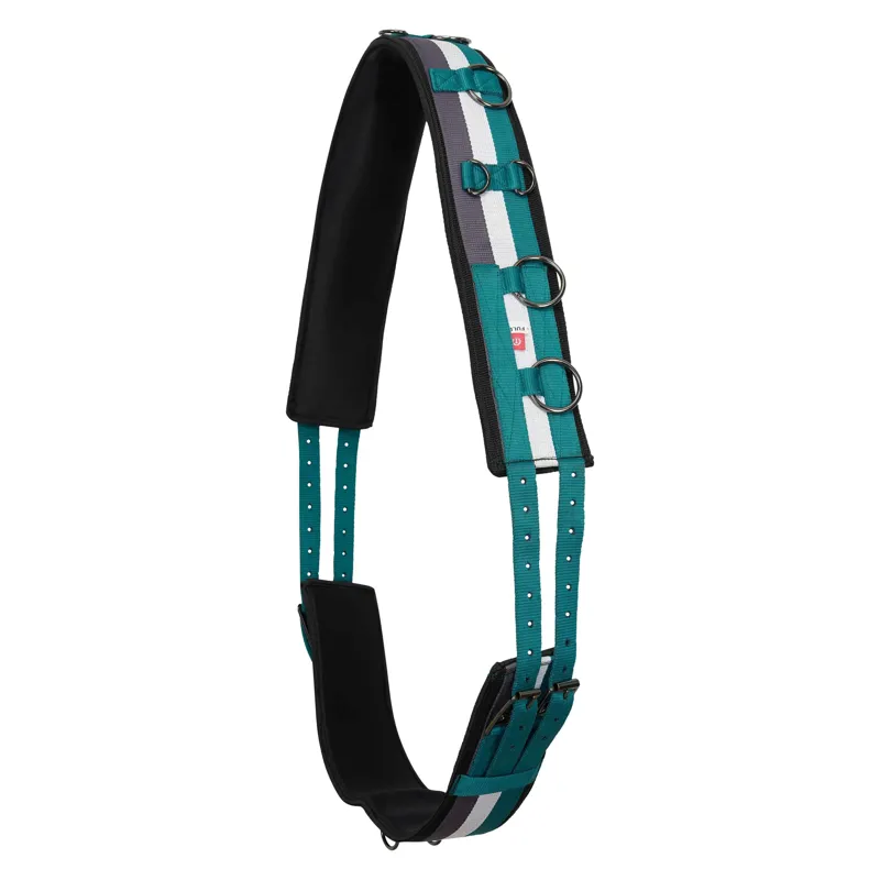 Imperial Riding Deluxe Lunging Girth - Ocean