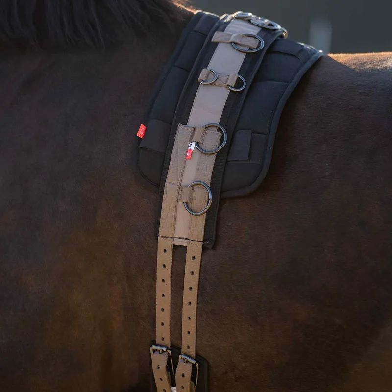 Imperial Riding Deluxe Extra Lunging Girth - Cappuccino-1