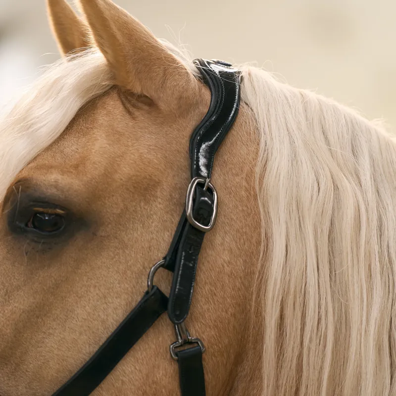 Imperial Riding Hera Headcollar - Black-3