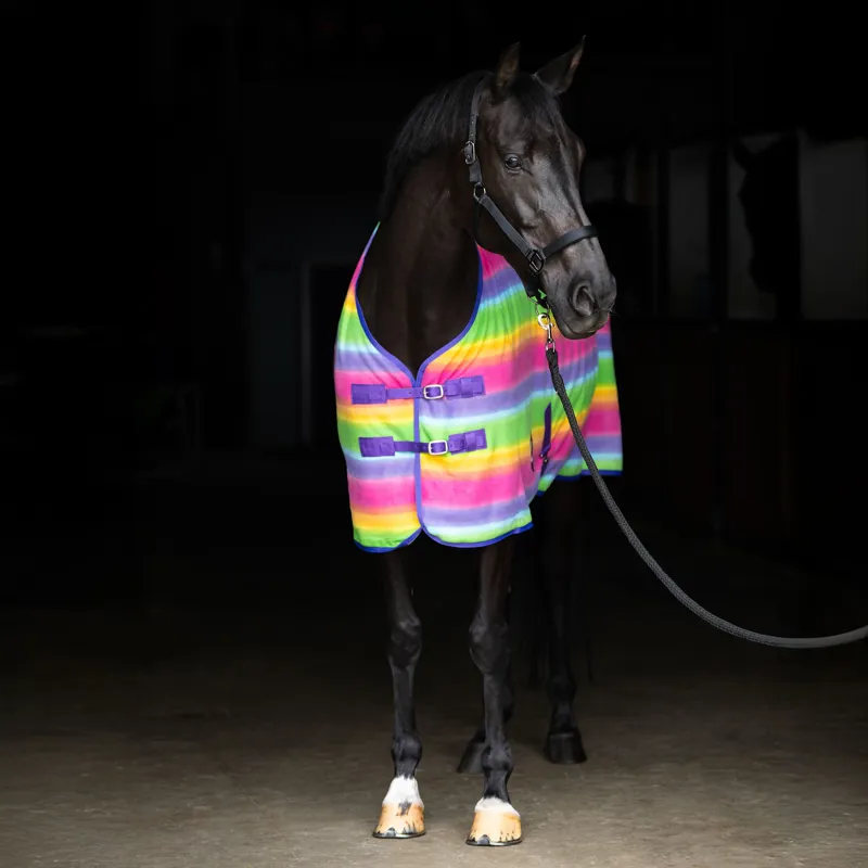 Imperial Riding Stripe Fleece Rug - Rainbow-1