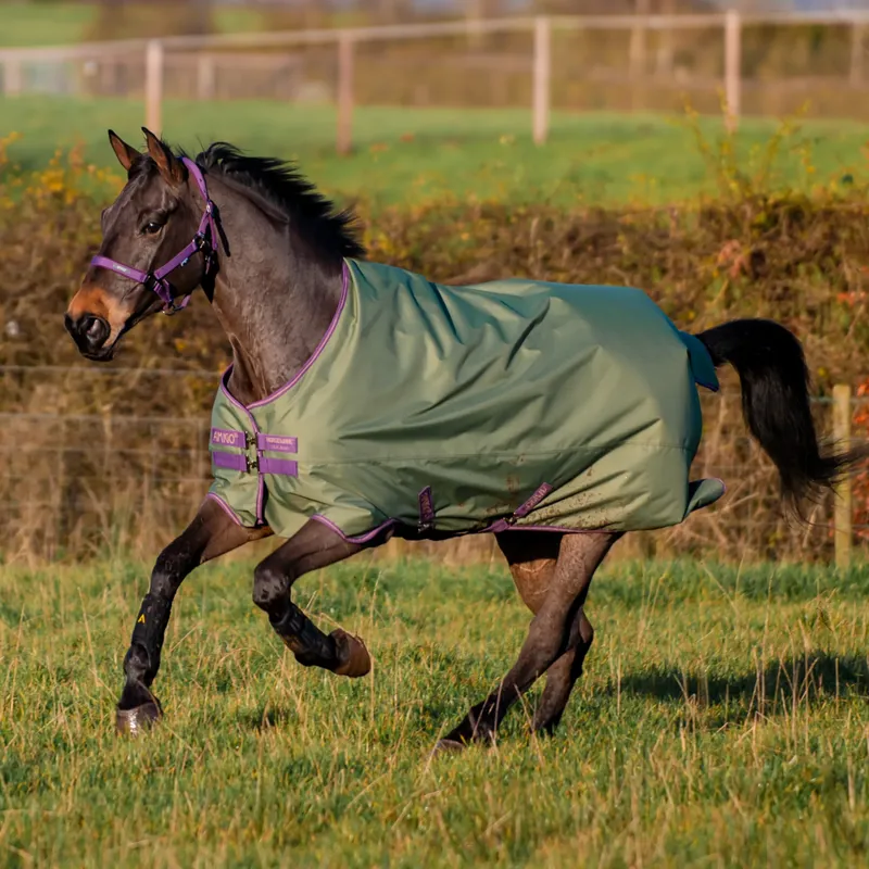 Horseware Amigo Hero Ripstop Original 50g Turnout Rug - Bramble/Winterberry