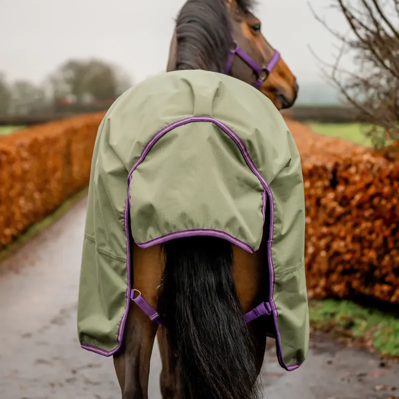 Horseware Amigo Hero Ripstop Original 50g Turnout Rug - Bramble/Winterberry-6