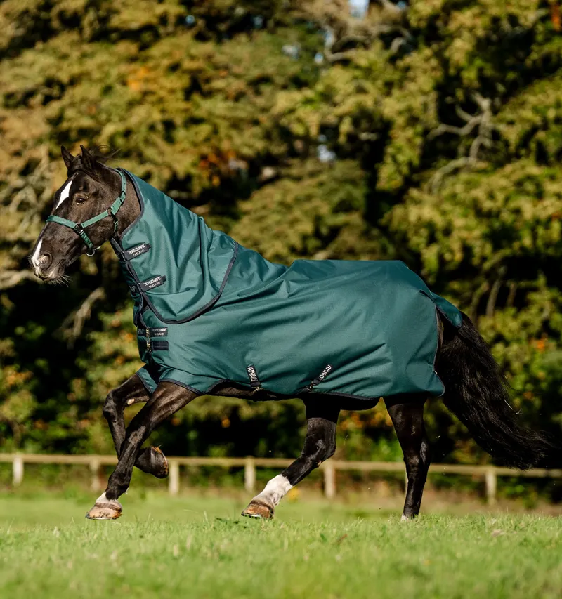 Horseware Amigo Ripstop 200g 900D Plus Pony Turnout Rug - Dynasty Green/Navy Silver-5
