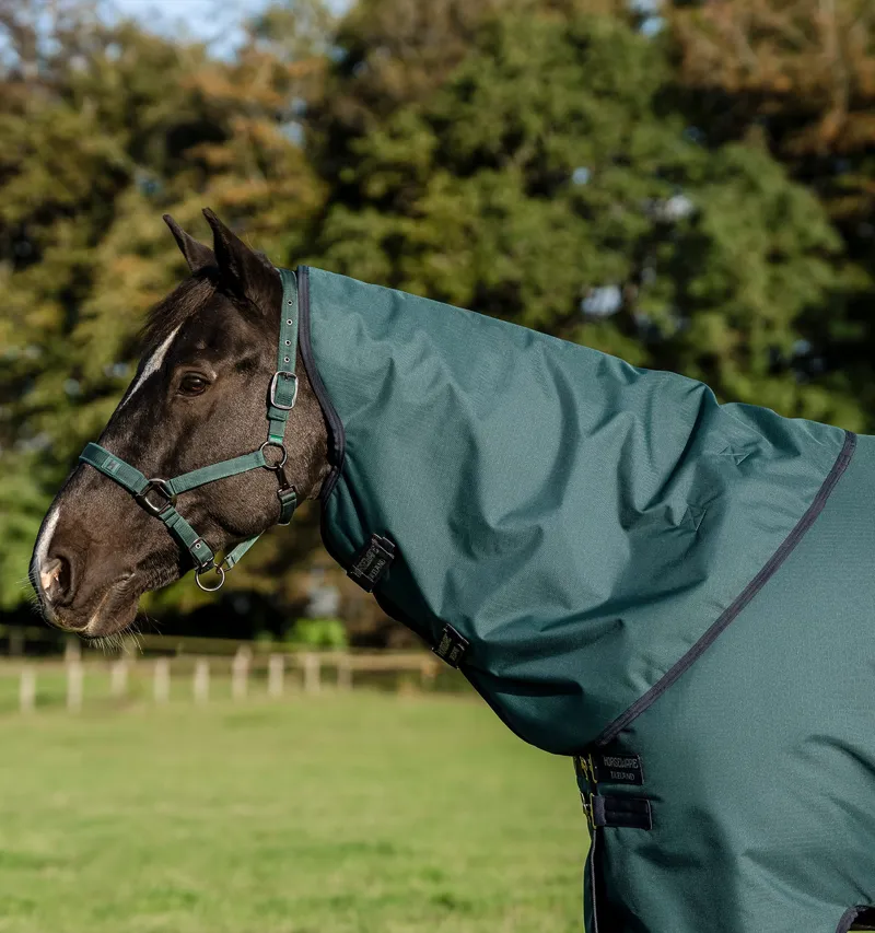 Horseware Amigo Ripstop 200g 900D Plus Pony Turnout Rug - Dynasty Green/Navy Silver-4