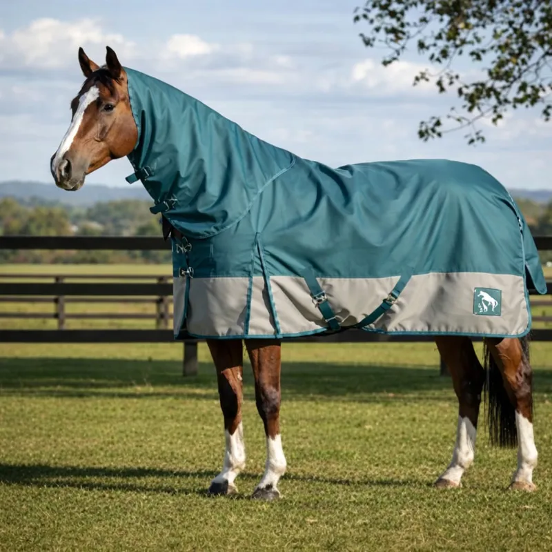 John Whitaker 100g Combo Turnout Rug - Teal/Grey-6