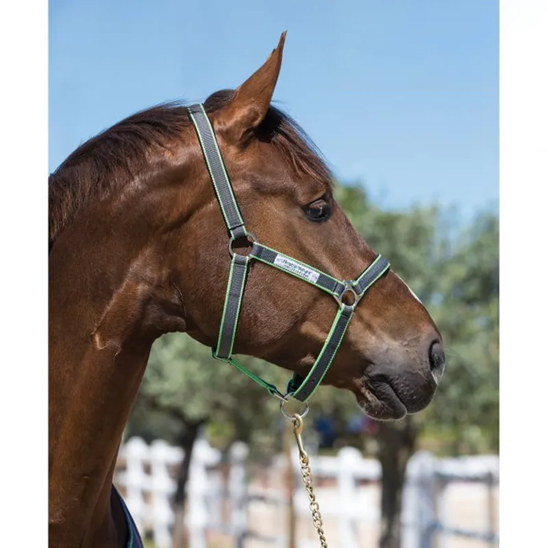Horseware Amigo Headcollar - Excalibur/Excalibur/Green