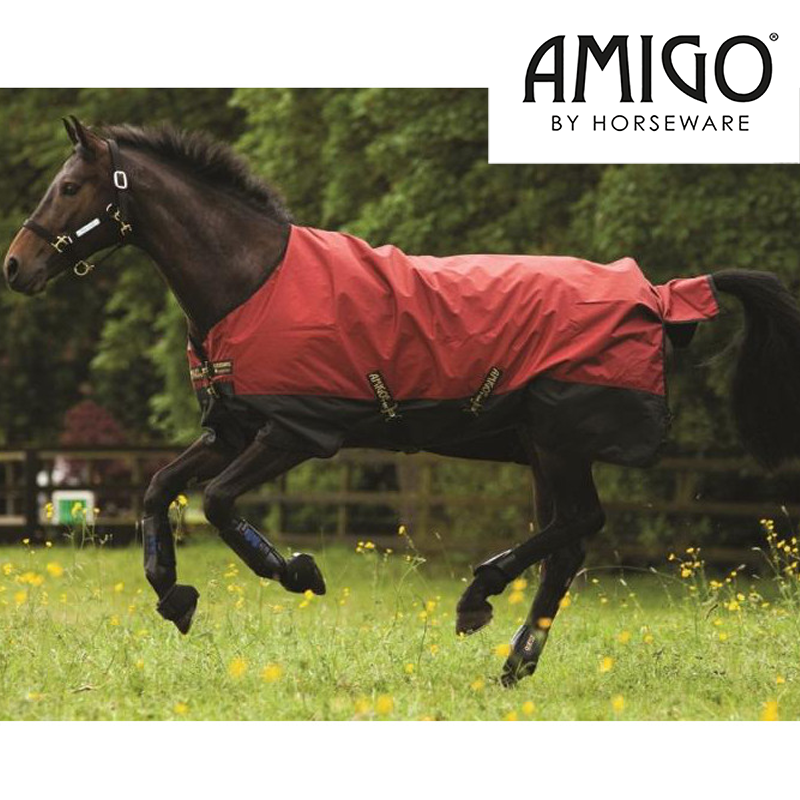 Amigo Mio Pony Medium Turnout Rug - Burgundy/Black