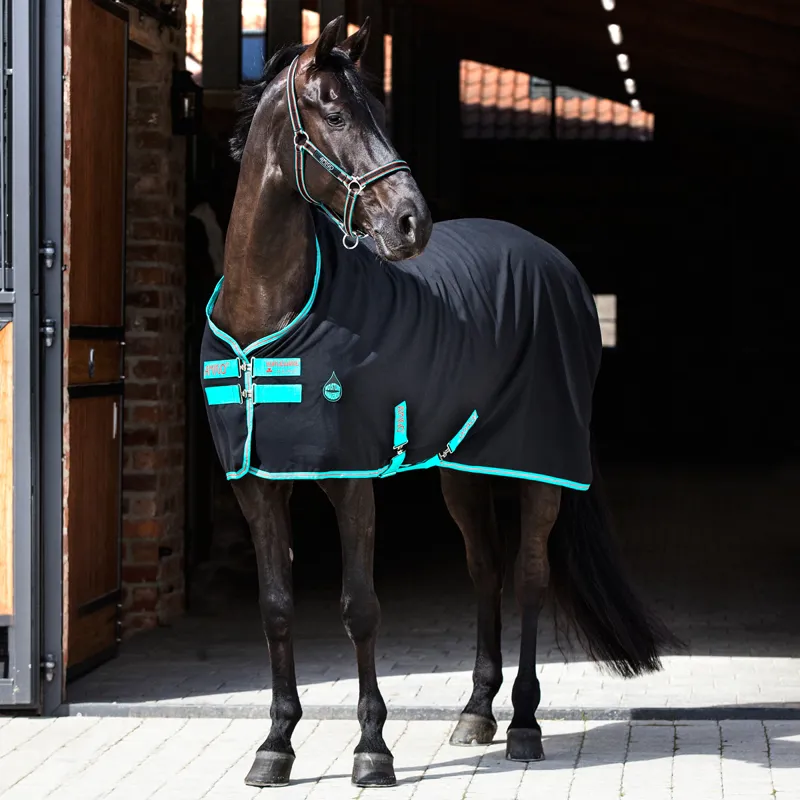 Horseware Amigo Stable Sheet - Black/Teal/Dark Cherry