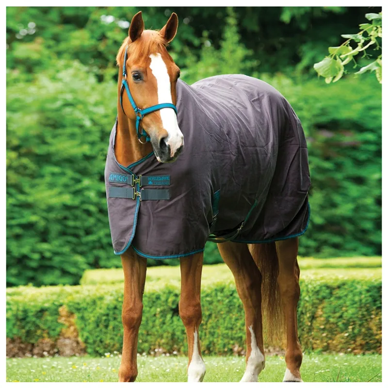 Amigo Stable Sheet - Excalibur/Gunmetal/Aqua