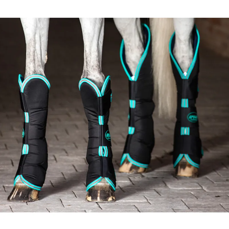 Horseware Amigo Travel Boots - Black/Teal/Dark Cherry