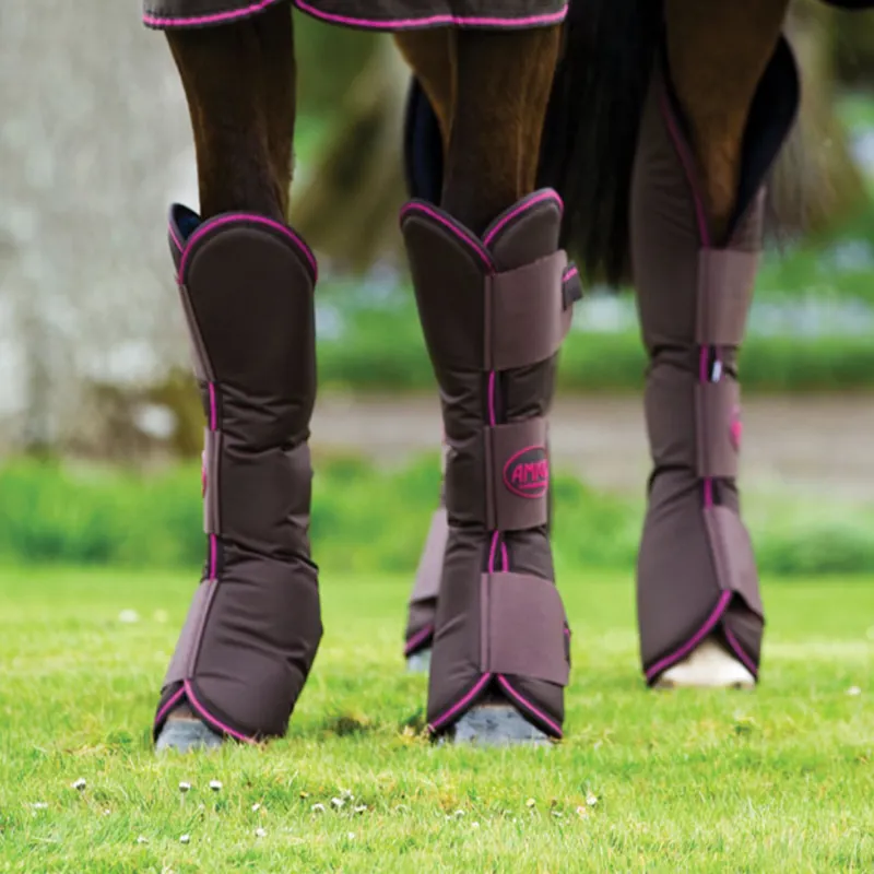 Amigo Travel Boots - Chocolate/Chocolate/Raspberry 