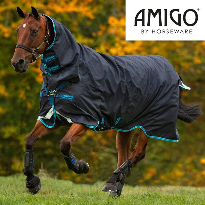 Amigo Bravo 12 All-In-One Heavyweight Turnout Rug - Navy/Electric Blue/Navy
