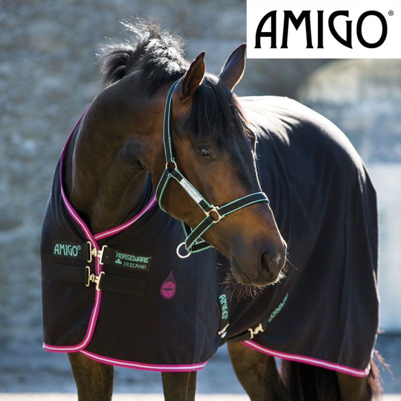 Horseware Amigo Headcollar - Black Purple and Mint-2
