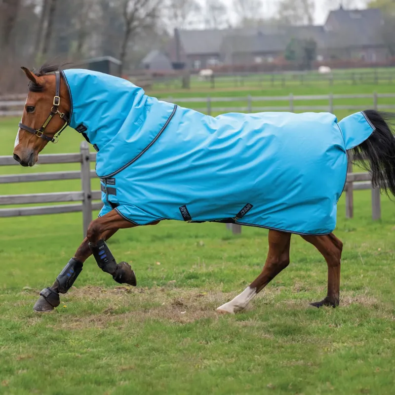 Horseware Amigo Hero 900 Plus 200g Turnout Rug - Capri/Gunmetal/Bluebell