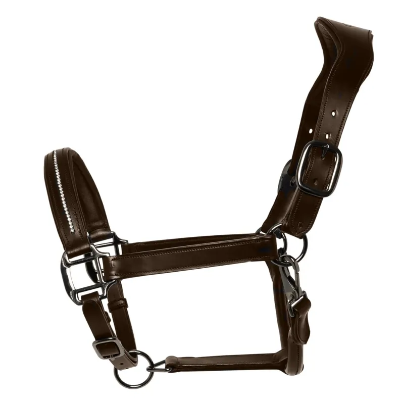 Cameo Competition Leather Headcollar - Brown