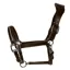 Cameo Competition Leather Headcollar - Brown