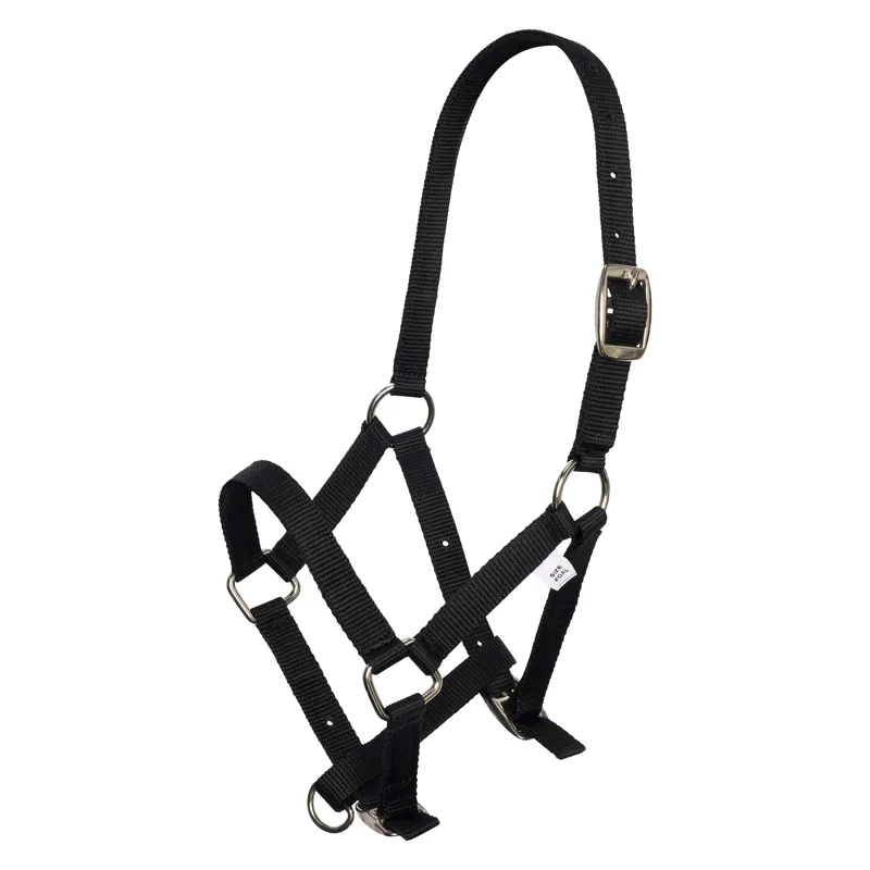 Imperial Riding Foal Headcollar - Black