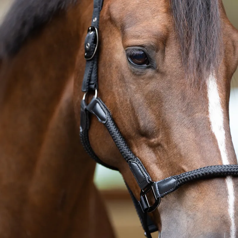Imperial Riding Laura Headcollar - Black-1