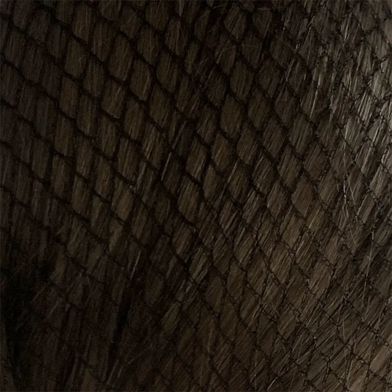 Bitz Twin Pack Standard Hairnets in Black