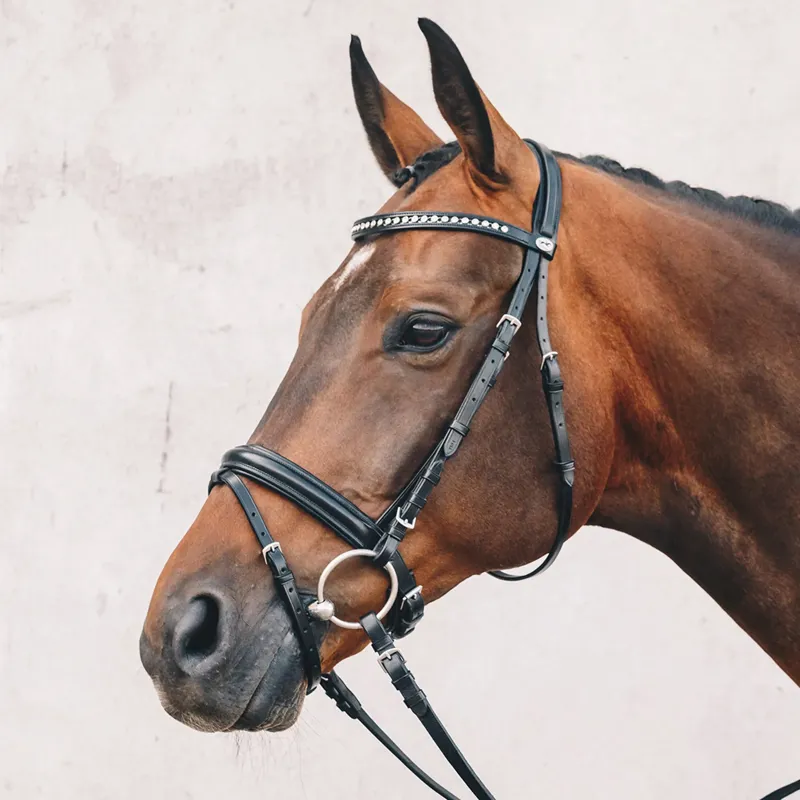 Schockemohle Berlin Bridle - Black/Silver