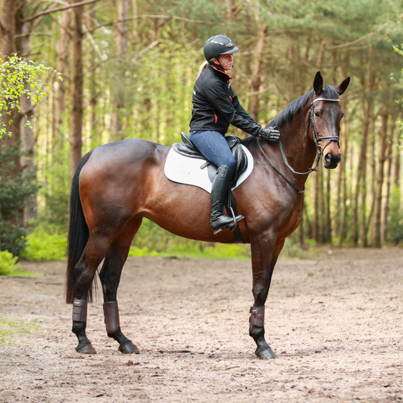 Equilibrium Tri-Zone Brushing Boots - Brown-7