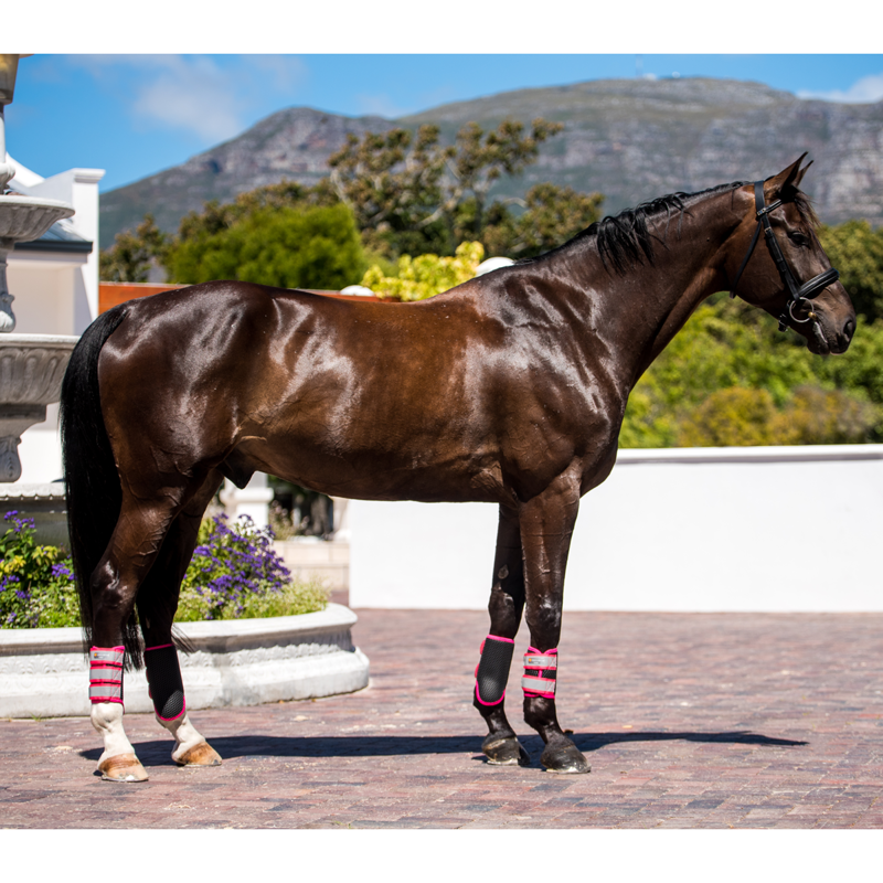 Equilibrium Tri-Zone Brushing Boots - Fluorescent Pink Straps -3