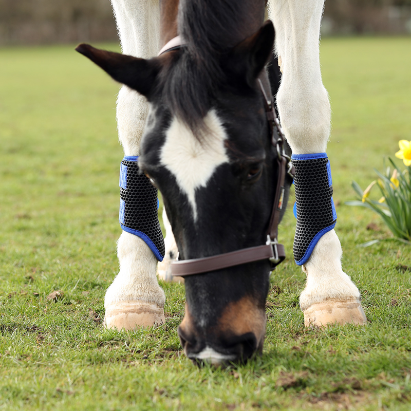 Equilibrium Tri-Zone Brushing Boots- Royal Blue-2