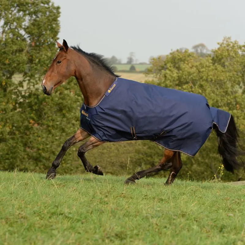 Bucas Irish Turnout Extra 300g - Navy/Gold