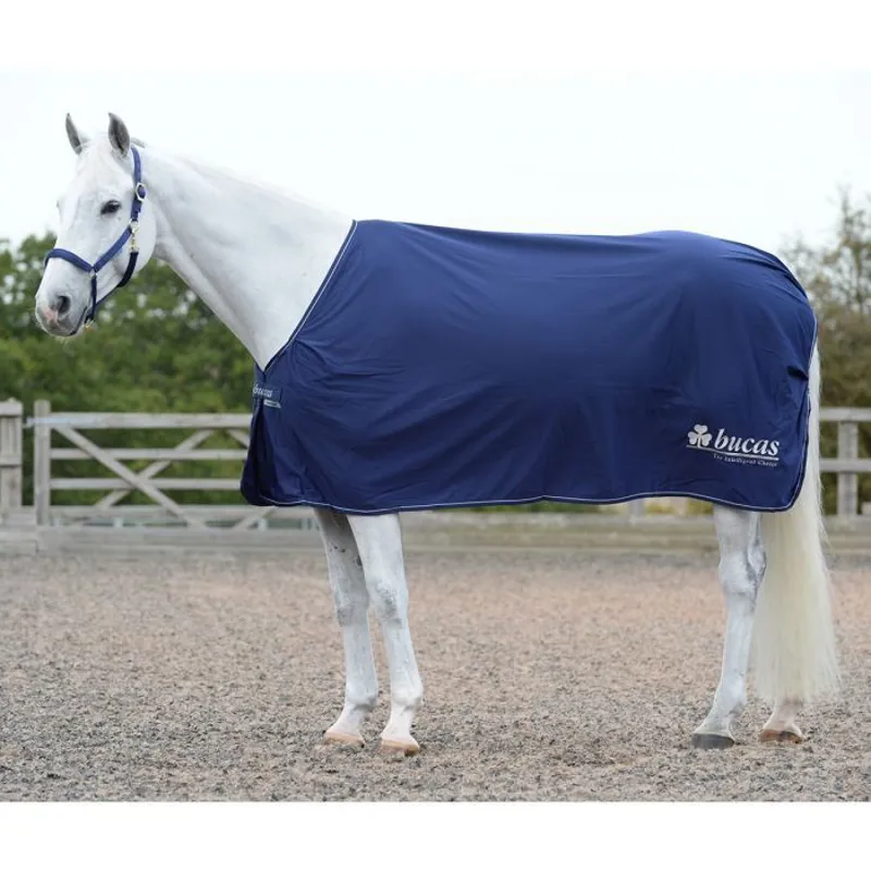 Bucas Prize Cooler - Navy/Silver Logo