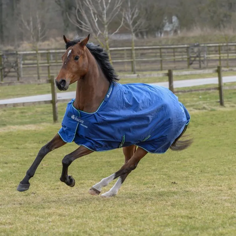 Bucas Smartex Extra Big Neck Heavyweight Turnout Rug 300g - Blue