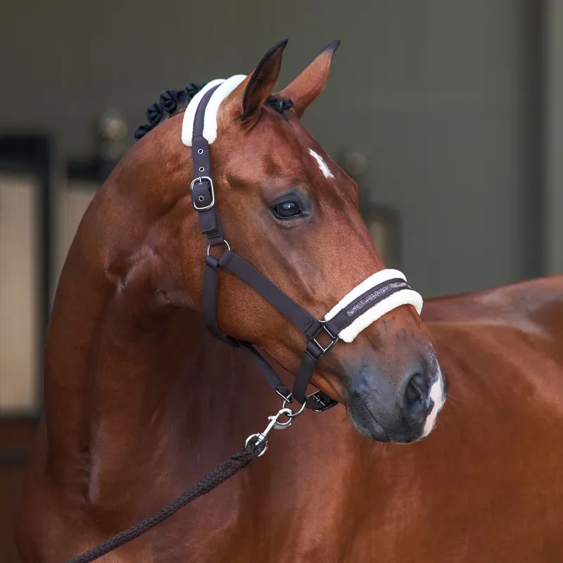 Imperial Riding Jewel Headcollar - Chocolate-1
