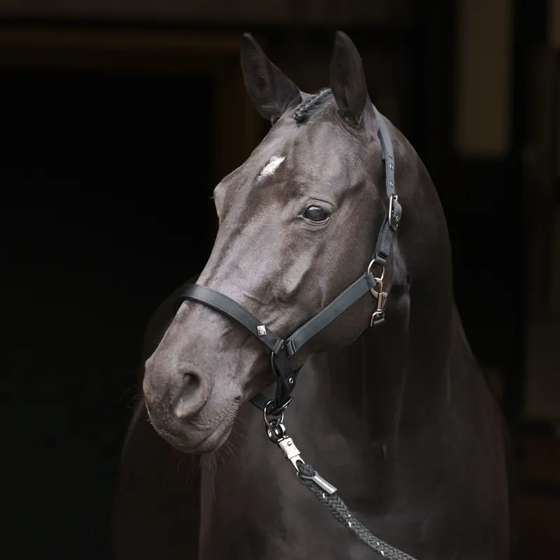 Imperial Riding Rebel Headcollar - Black-1