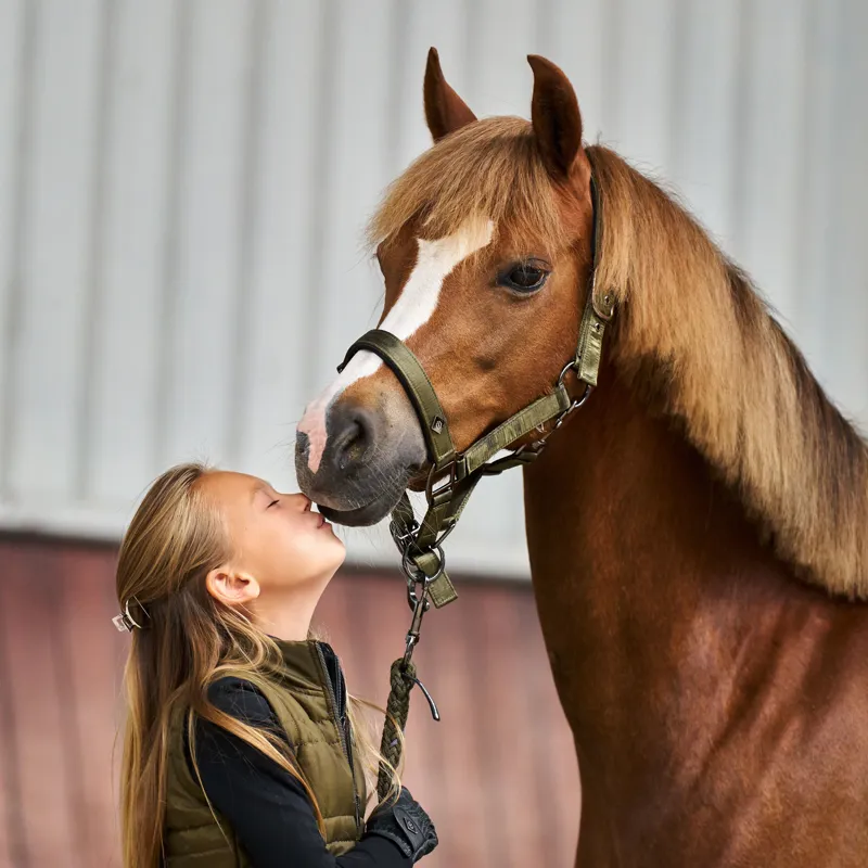 Imperial Riding Rebel Headcollar - Olive Green-2