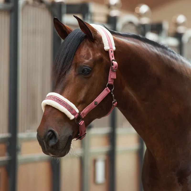 Imperial Riding Jewel Headcollar - Mauve-1