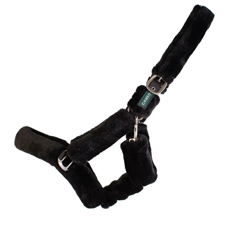 Cameo Deluxe Headcollar - Black