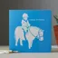 Deckled Edge Colour Block Card - Happy Birthday Shetland Pony