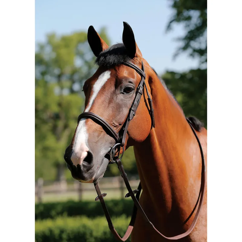 JHL Raised Cavesson Bridle - Brown