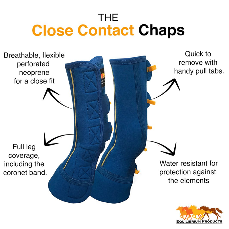 Equilibrium Equi-Chaps Close Contact Chaps - Navy-1