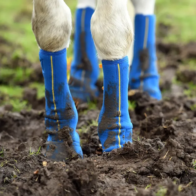 Equilibrium Equi-Chaps Close Contact Chaps - Navy-2