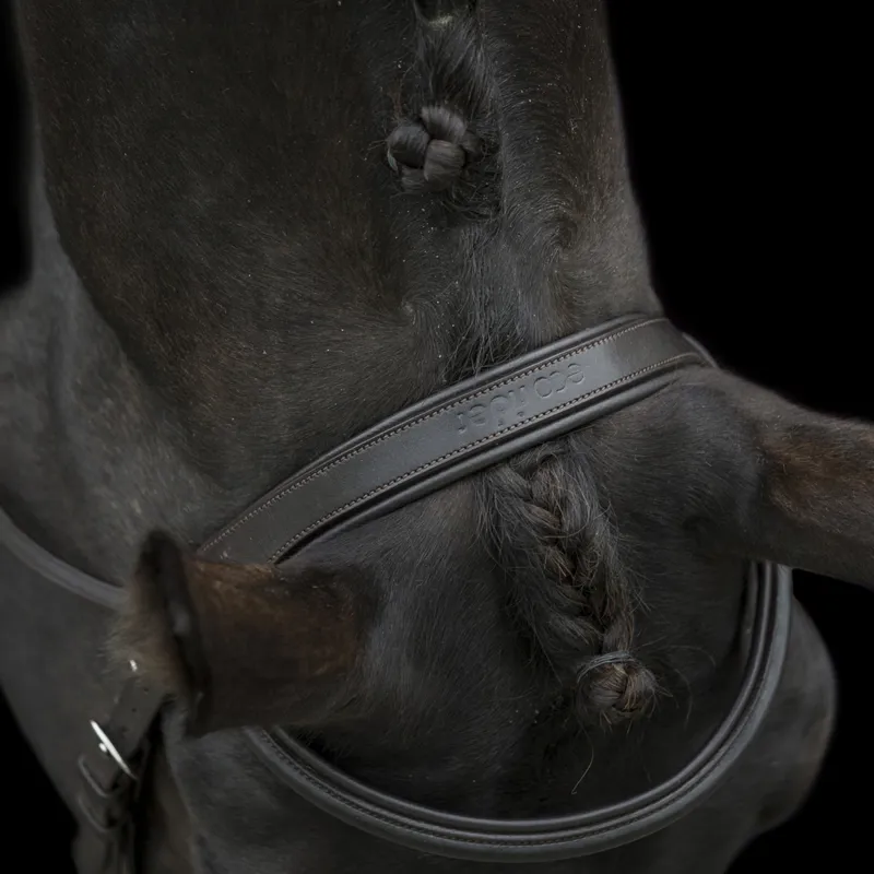 EcoRider Classic Comfort Bridle with Flash - Black-1