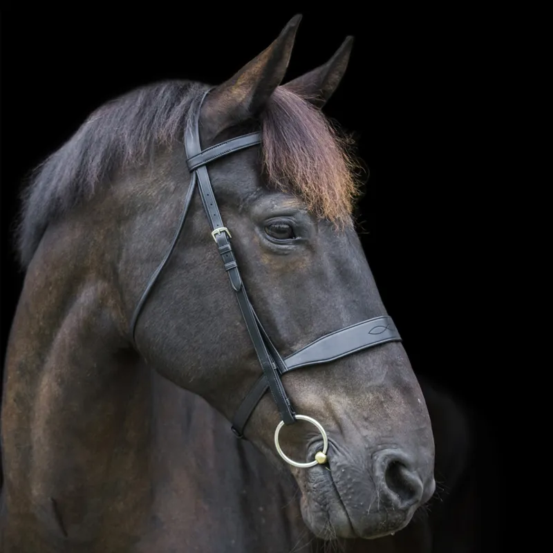 Ecorider Classic Show Bridle - Brown