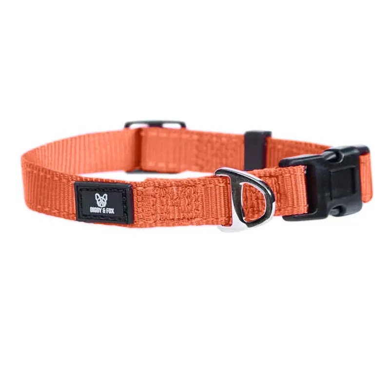 Digby and Fox Webbing Dog Collar - Orange