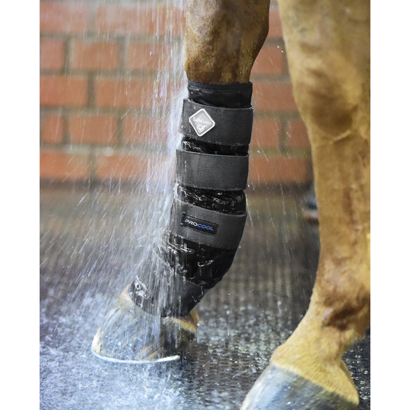 LeMieux Cold Water Boots - Black-1